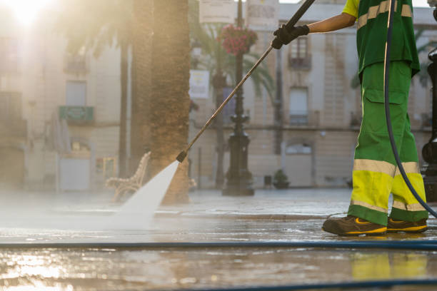 Animal Enclosure Cleaning in Alamo, NV